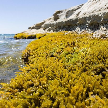 Вилла Casotto Il Carrubo, A 100 Mt Dal Mare! Авола Экстерьер фото