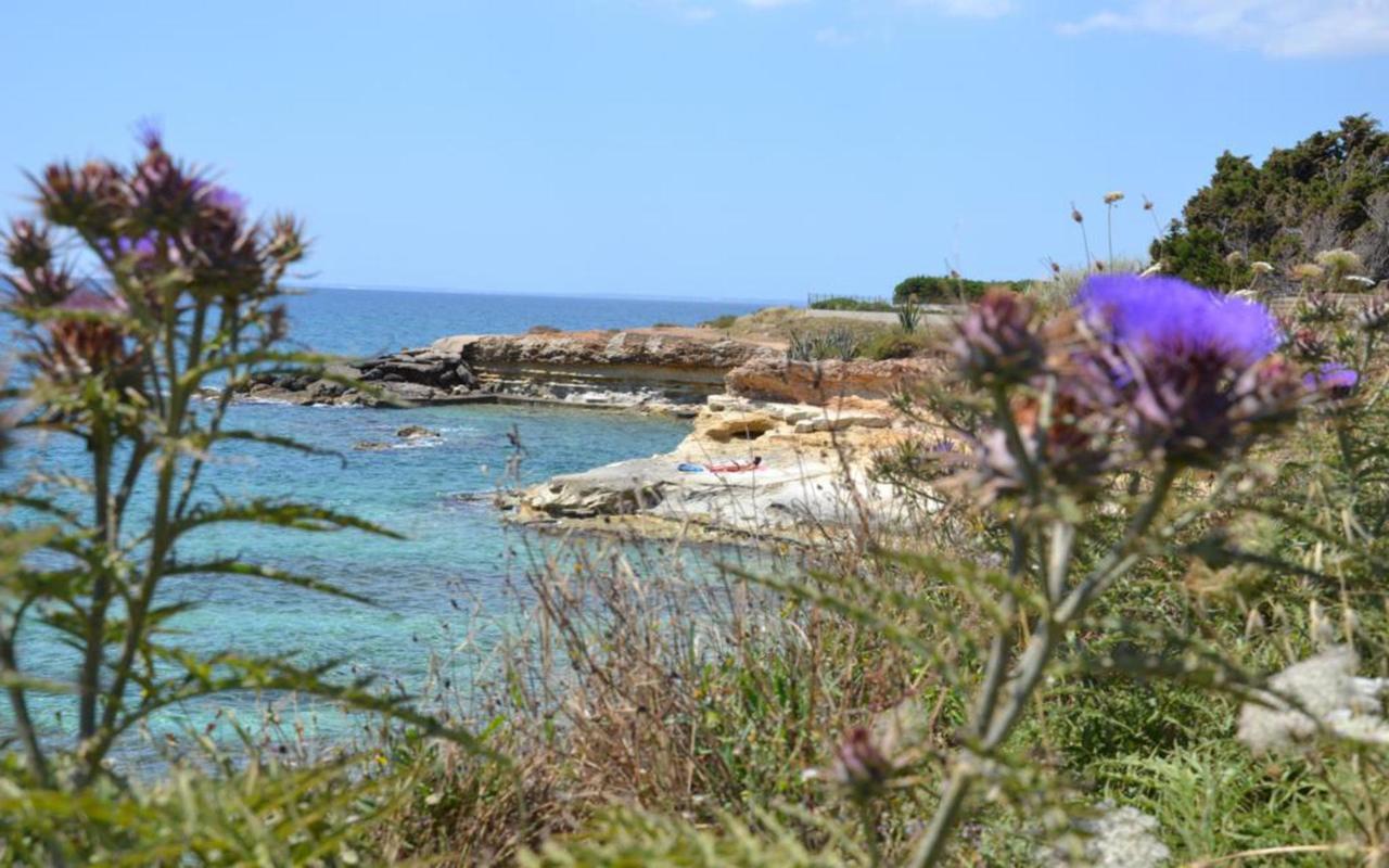 Вилла Casotto Il Carrubo, A 100 Mt Dal Mare! Авола Экстерьер фото